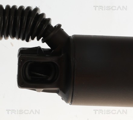 Triscan Gasveer, kofferruimte 8710 11374