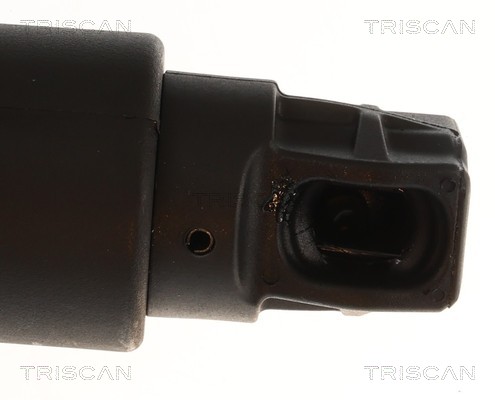 Triscan Gasveer, kofferruimte 8710 11374