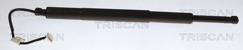 Triscan Gasveer, kofferruimte 8710 11376