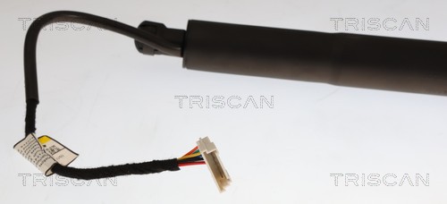 Triscan Gasveer, kofferruimte 8710 11376