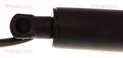 Triscan Gasveer, kofferruimte 8710 11376