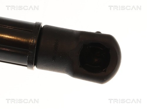 Triscan Gasveer, kofferruimte 8710 11376