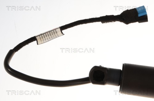 Triscan Gasveer, kofferruimte 8710 11377