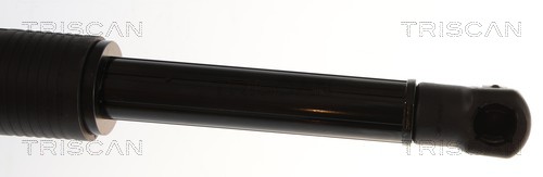 Triscan Gasveer, kofferruimte 8710 11377