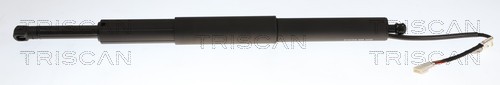 Gasveer, kofferruimte Triscan 8710 11378