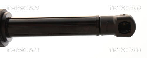 Triscan Gasveer, kofferruimte 8710 11378