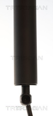 Triscan Gasveer, kofferruimte 8710 11378