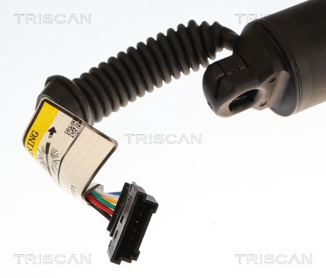 Triscan Gasveer, kofferruimte 8710 11379
