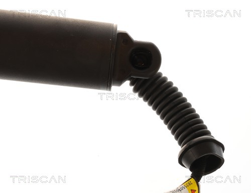 Triscan Gasveer, kofferruimte 8710 11379