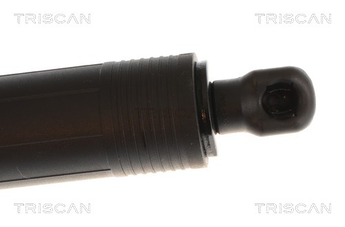 Triscan Gasveer, kofferruimte 8710 11379