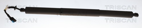 Triscan Gasveer, kofferruimte 8710 11380