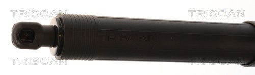 Triscan Gasveer, kofferruimte 8710 11380