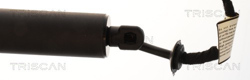 Triscan Gasveer, kofferruimte 8710 11380