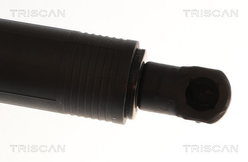 Triscan Gasveer, kofferruimte 8710 11381