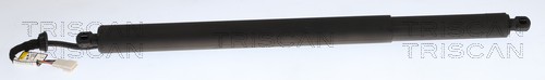 Triscan Gasveer, kofferruimte 8710 11384