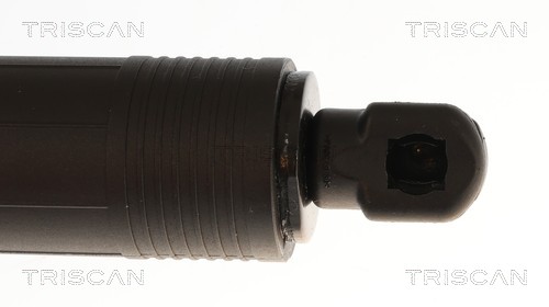 Triscan Gasveer, kofferruimte 8710 11384