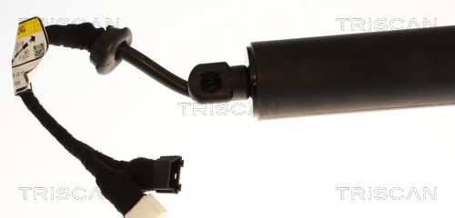 Triscan Gasveer, kofferruimte 8710 11385