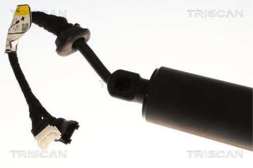 Triscan Gasveer, kofferruimte 8710 11385