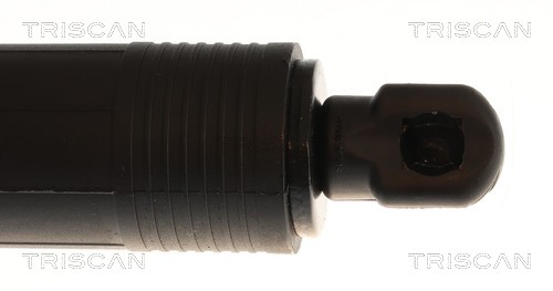 Triscan Gasveer, kofferruimte 8710 11385