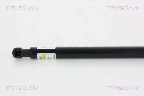 Triscan Gasveer, kofferruimte 8710 13275