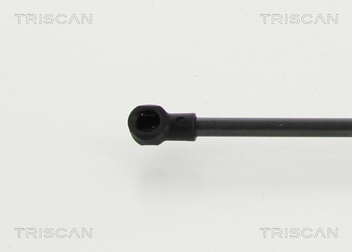 Triscan Gasveer, kofferruimte 8710 292101