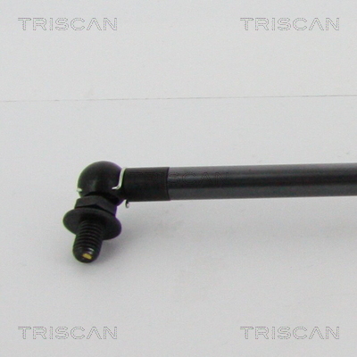 Triscan Gasveer, kofferruimte 8710 13290