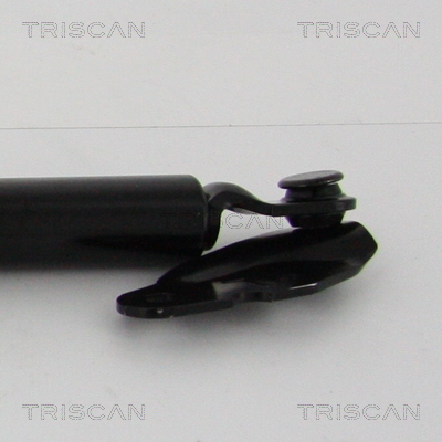 Triscan Gasveer, kofferruimte 8710 13290