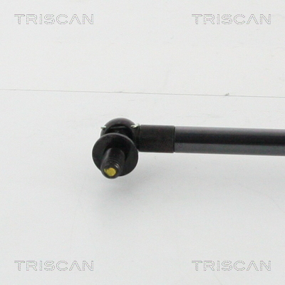 Triscan Gasveer, kofferruimte 8710 13291