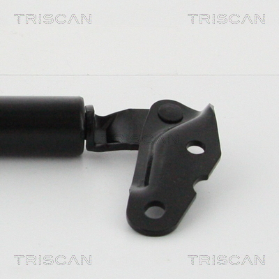 Triscan Gasveer, kofferruimte 8710 13291