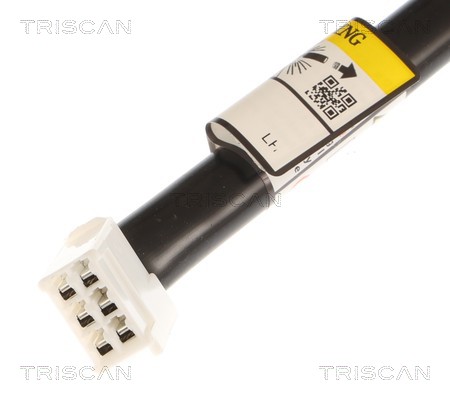 Triscan Gasveer, kofferruimte 8710 13305