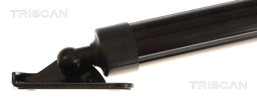 Triscan Gasveer, kofferruimte 8710 13305