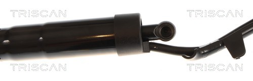 Triscan Gasveer, kofferruimte 8710 13305