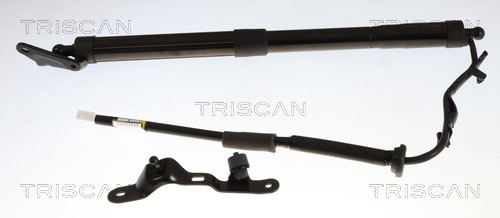 Gasveer, kofferruimte Triscan 8710 13306