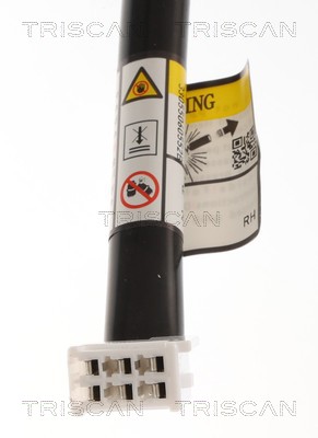Triscan Gasveer, kofferruimte 8710 13306