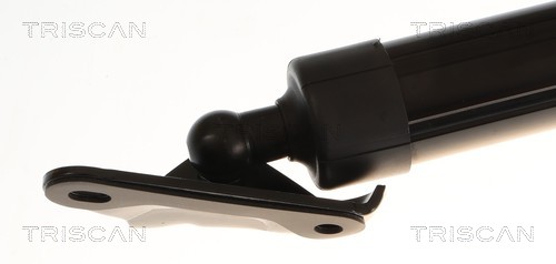 Triscan Gasveer, kofferruimte 8710 13306