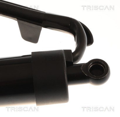 Triscan Gasveer, kofferruimte 8710 13306
