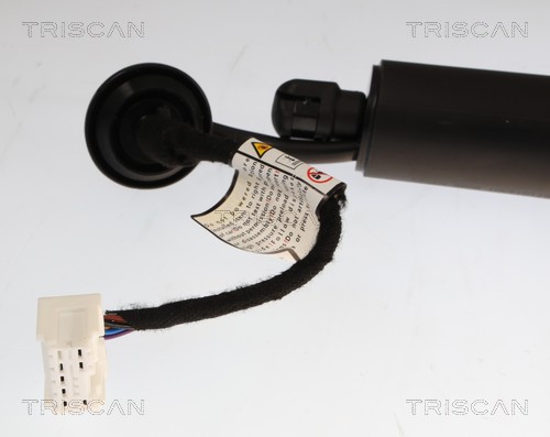 Triscan Gasveer, kofferruimte 8710 14301