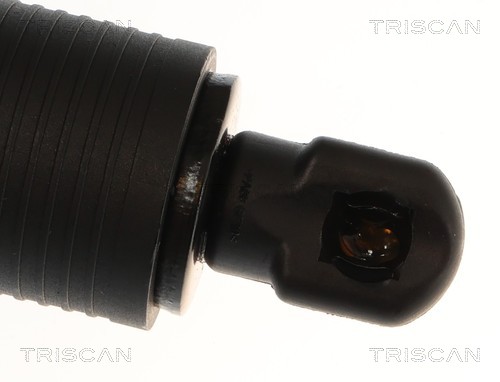 Triscan Gasveer, kofferruimte 8710 14301