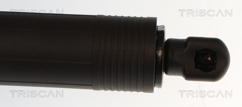 Triscan Gasveer, kofferruimte 8710 14302