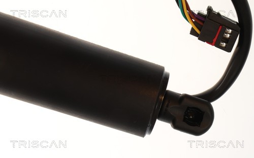 Triscan Gasveer, kofferruimte 8710 14303