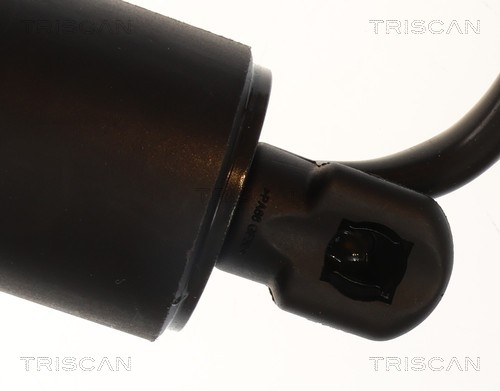 Triscan Gasveer, kofferruimte 8710 14303