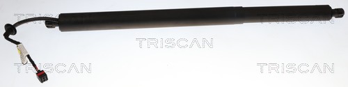 Triscan Gasveer, kofferruimte 8710 14304