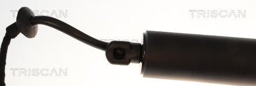 Triscan Gasveer, kofferruimte 8710 14304
