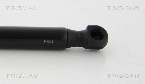 Triscan Gasveer, kofferruimte 8710 15250