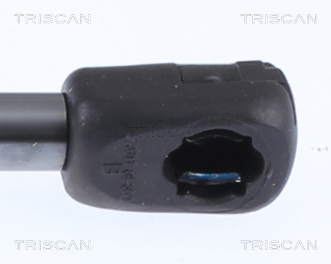 Triscan Gasveer, kofferruimte 8710 15257