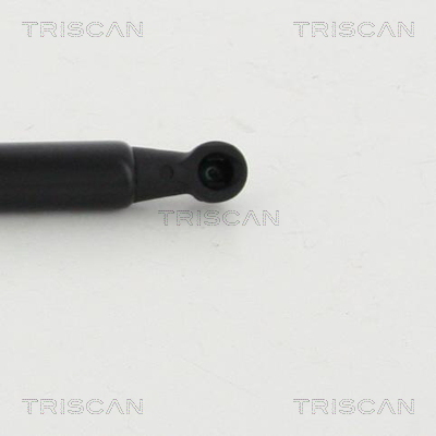 Triscan Gasveer, kofferruimte 8710 292019