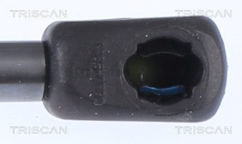 Triscan Gasveer, kofferruimte 8710 16280
