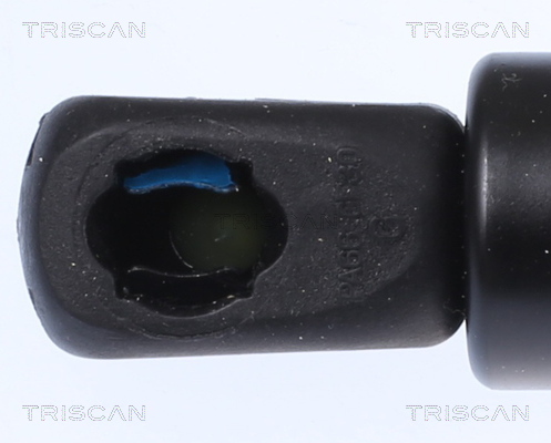 Triscan Gasveer, kofferruimte 8710 16280