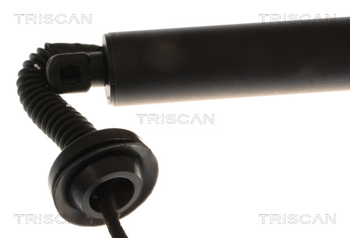 Triscan Gasveer, kofferruimte 8710 16315