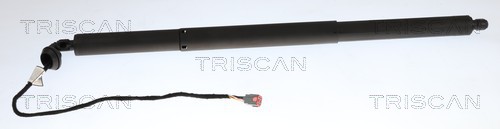 Triscan Gasveer, kofferruimte 8710 16317